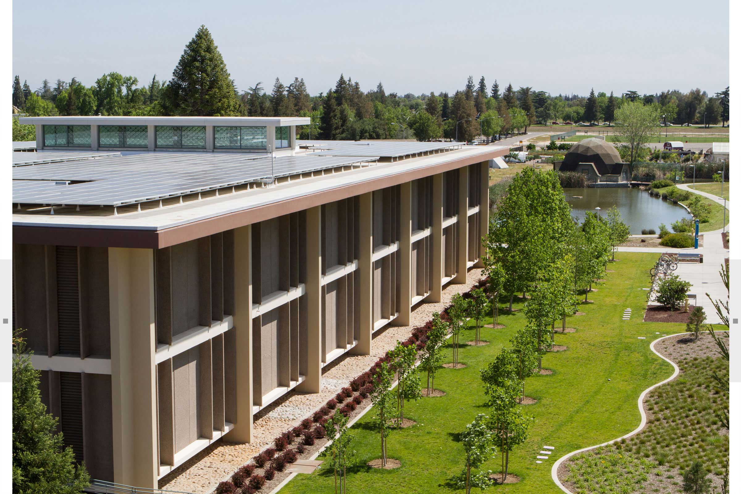 CSU exterior with trees and grassy area